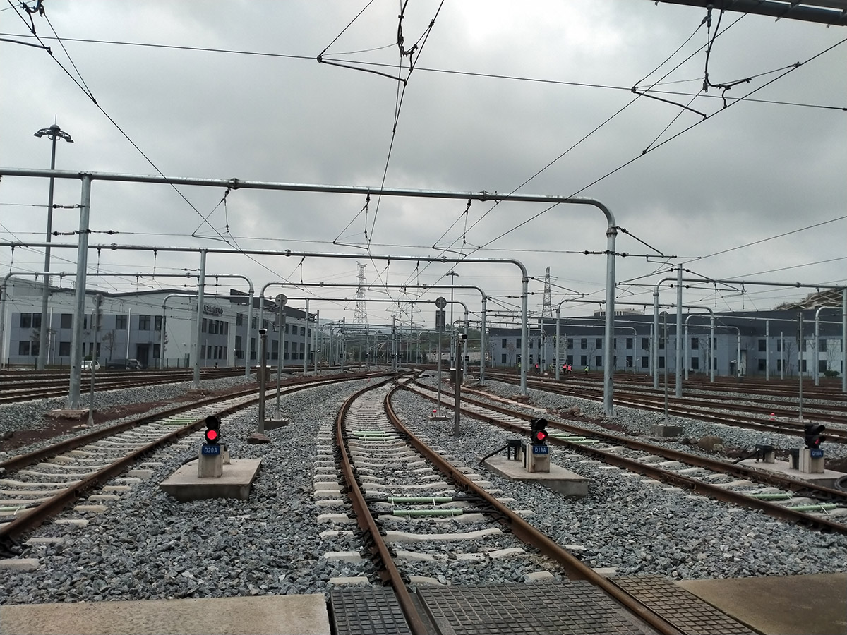 重庆六支二(图1)